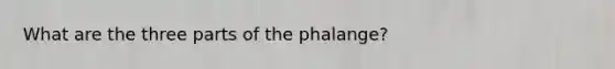 What are the three parts of the phalange?