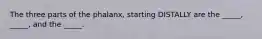 The three parts of the phalanx, starting DISTALLY are the _____, _____, and the _____.