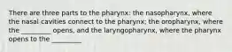 There are three parts to the pharynx: the nasopharynx, where the nasal cavities connect to the pharynx; the oropharynx, where the _________ opens, and the laryngopharynx, where the pharynx opens to the _________