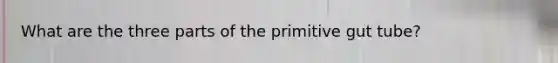 What are the three parts of the primitive gut tube?