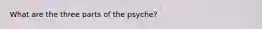 What are the three parts of the psyche?