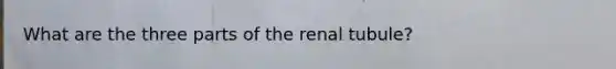 What are the three parts of the renal tubule?