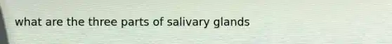 what are the three parts of salivary glands