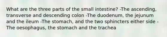 What are the three parts of <a href='https://www.questionai.com/knowledge/kt623fh5xn-the-small-intestine' class='anchor-knowledge'>the small intestine</a>? -The ascending, transverse and descending colon -The duodenum, the jejunum and the ileum -<a href='https://www.questionai.com/knowledge/kLccSGjkt8-the-stomach' class='anchor-knowledge'>the stomach</a>, and the two sphincters either side -The oesophagus, the stomach and the trachea