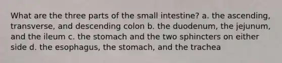 What are the three parts of the small intestine? a. the ascending, transverse, and descending colon b. the duodenum, the jejunum, and the ileum c. the stomach and the two sphincters on either side d. the esophagus, the stomach, and the trachea