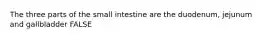 The three parts of the small intestine are the duodenum, jejunum and gallbladder FALSE