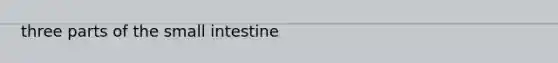 three parts of <a href='https://www.questionai.com/knowledge/kt623fh5xn-the-small-intestine' class='anchor-knowledge'>the small intestine</a>
