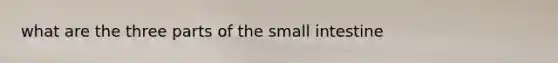 what are the three parts of the small intestine