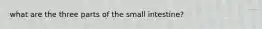 what are the three parts of the small intestine?