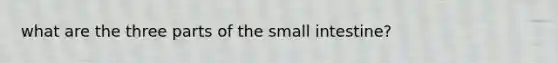 what are the three parts of the small intestine?