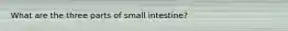 What are the three parts of small intestine?