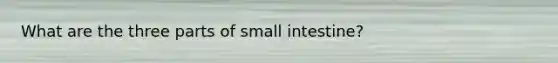 What are the three parts of small intestine?