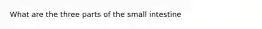 What are the three parts of the small intestine