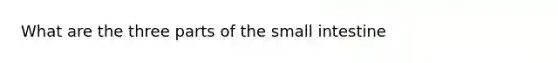 What are the three parts of the small intestine