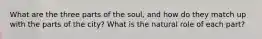 What are the three parts of the soul, and how do they match up with the parts of the city? What is the natural role of each part?