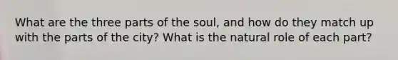 What are the three parts of the soul, and how do they match up with the parts of the city? What is the natural role of each part?