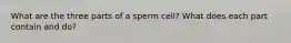 What are the three parts of a sperm cell? What does each part contain and do?