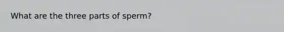 What are the three parts of sperm?