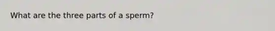 What are the three parts of a sperm?