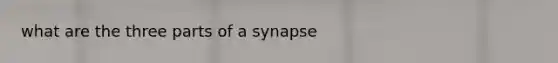 what are the three parts of a synapse