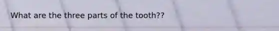 What are the three parts of the tooth??