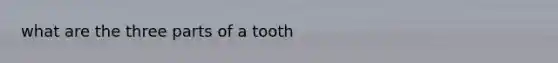 what are the three parts of a tooth