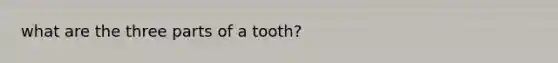 what are the three parts of a tooth?