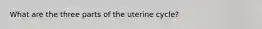 What are the three parts of the uterine cycle?