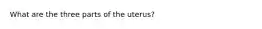 What are the three parts of the uterus?