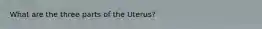 What are the three parts of the Uterus?