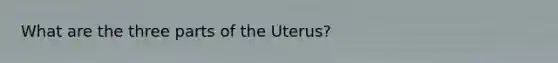 What are the three parts of the Uterus?