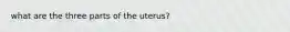 what are the three parts of the uterus?