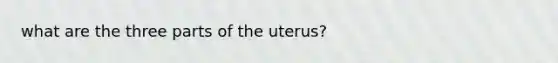 what are the three parts of the uterus?