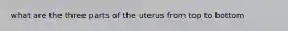 what are the three parts of the uterus from top to bottom