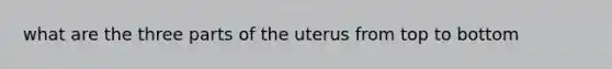 what are the three parts of the uterus from top to bottom