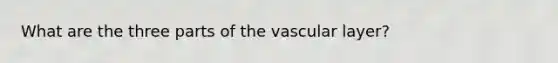 What are the three parts of the vascular layer?