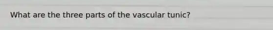 What are the three parts of the vascular tunic?