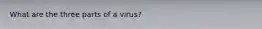 What are the three parts of a virus?