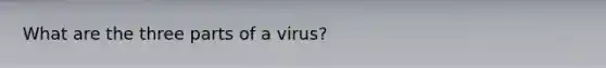 What are the three parts of a virus?