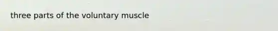 three parts of the voluntary muscle