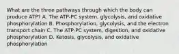 What are the three pathways through which the body can produce ATP? A. The ATP-PC system, glycolysis, and oxidative phosphorylation B. Phosphorylation, glycolysis, and the electron transport chain C. The ATP-PC system, digestion, and oxidative phosphorylation D. Ketosis, glycolysis, and oxidative phosphorylation