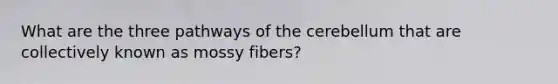 What are the three pathways of the cerebellum that are collectively known as mossy fibers?