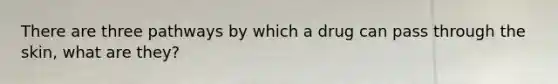 There are three pathways by which a drug can pass through the skin, what are they?