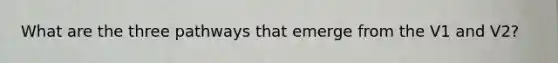What are the three pathways that emerge from the V1 and V2?