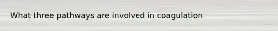 What three pathways are involved in coagulation