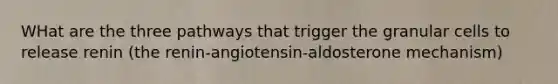 WHat are the three pathways that trigger the granular cells to release renin (the renin-angiotensin-aldosterone mechanism)