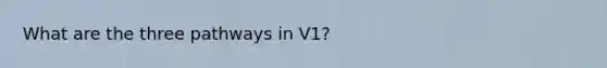 What are the three pathways in V1?