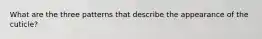 What are the three patterns that describe the appearance of the cuticle?