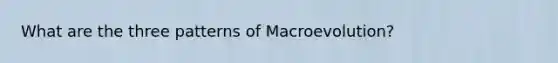 What are the three patterns of Macroevolution?