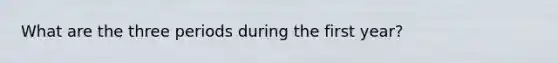 What are the three periods during the first year?